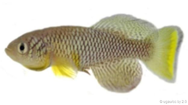 һЩķֳʽȫͬʵһķֳʽκ׵ﶼͬȡ˴ͬԣڵͬʱӵдԺ