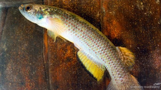 ʹǻĺʽУӾϲʽǷϲСˮЩûˮ´£ǻ뿪