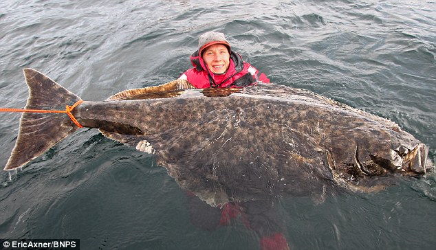 ���������Ų���޸���Ⱥ������ �����ش�101�����Ŀ��