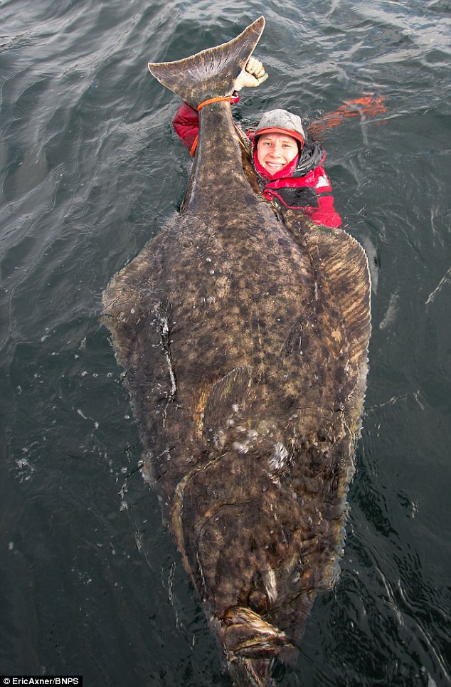 ���������Ų���޸���Ⱥ������ �����ش�101�����Ŀ��