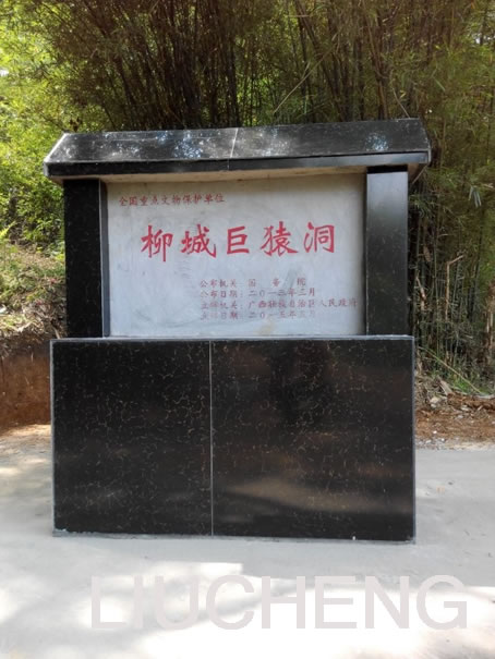 广西柳城巨猿洞保护规划和管理工作取得重要进展