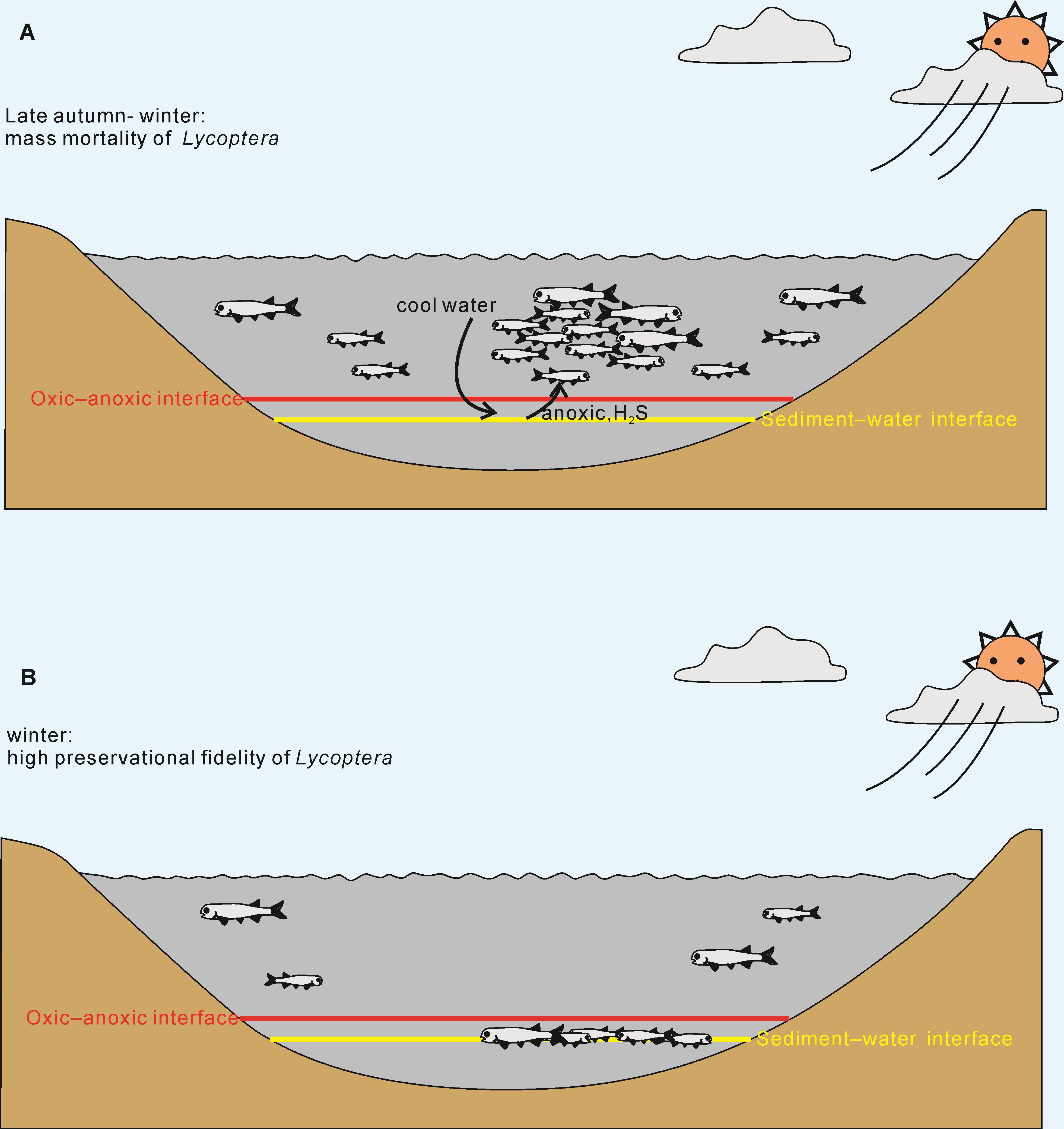 ������ѧ���ҵ�������Ⱥ��������ԭ��ȱ����Ϣ