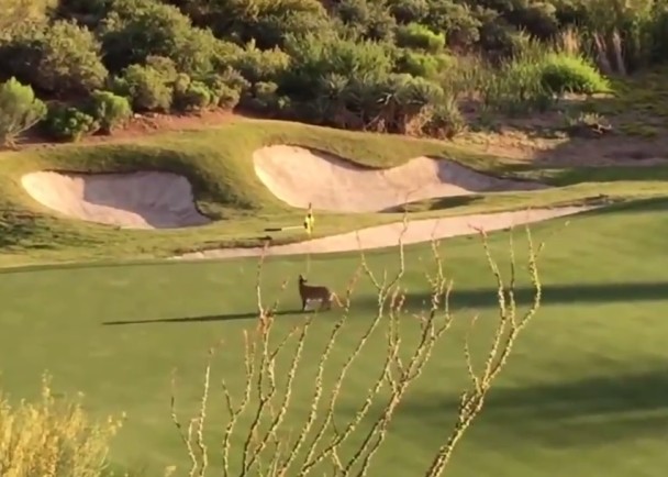 ɽʨ�ڸ��򳡷��ֱ�ʾ���ڵ���ˣ����˴󷢡�