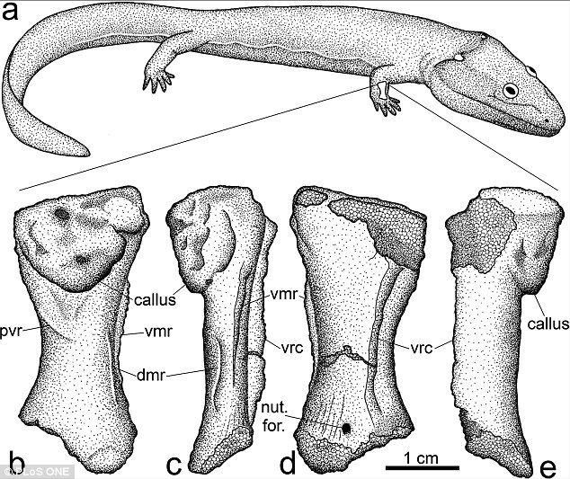 ѧ״֤ʵˮе½ļ׵ܶԴϰɴ½