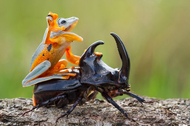 �����������Լ25%�����ڼ׳�