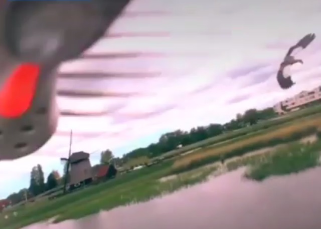 无人机被埃及雁撞至在空中翻转了数圈