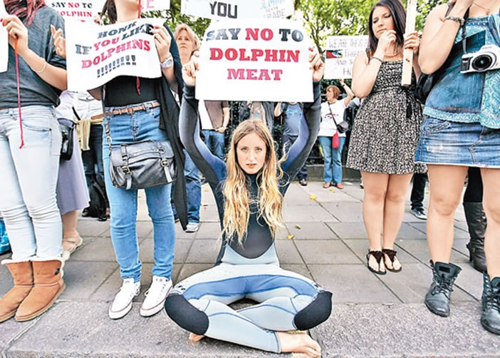 反捕海豚人士早前高举字牌，抗议猎杀海豚。