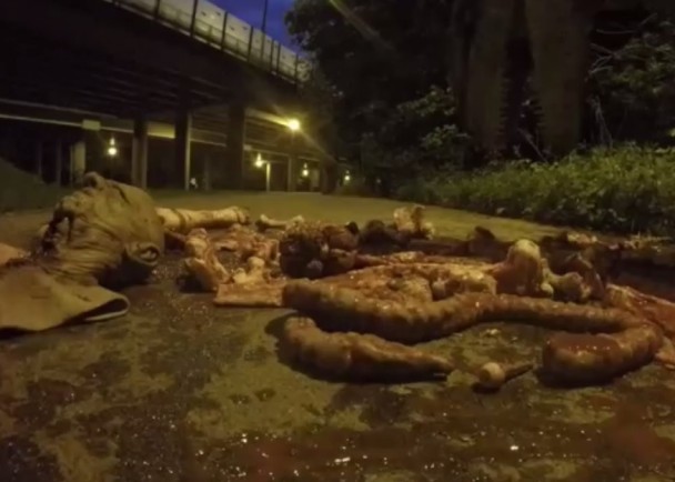 道具残肢散满一地