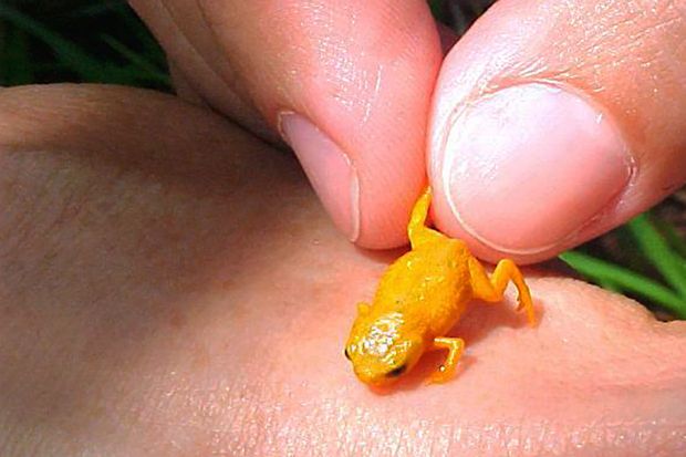 ��ѧ���ڰ���������С������ ���ڶ�ͷ���