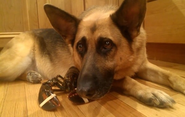 ɳ�ײ������˰���Ϻ�Ե������Ǳ�������