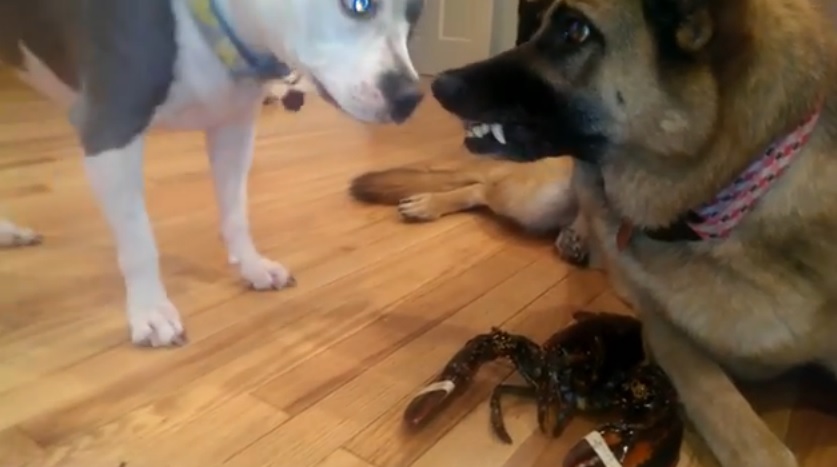 ��ͬ�飨����������Ϻ��ɳ����������������ߡ�