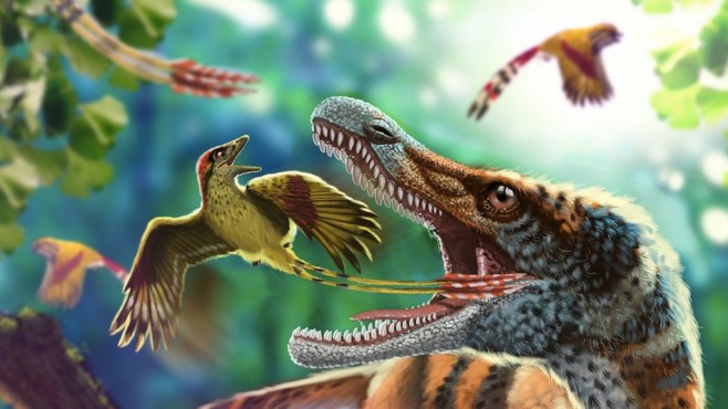 巴西发现最完整的来自早白垩世冈瓦纳大陆的鸟类化石样本