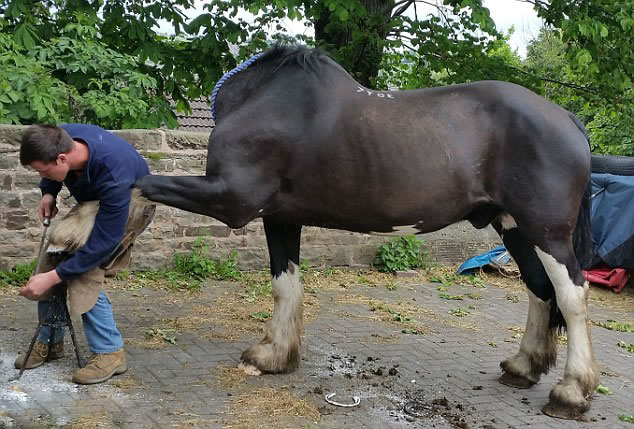 Ӣ����Լ�˿�ץ�ĵ�һ�š���ͷ������Ƭ