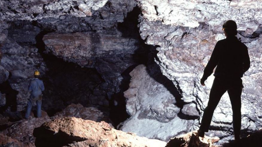 美国南达科他州史前洞穴可能埋藏着近10万块动物化石