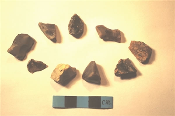 福建省漳州市龙文区蓝田镇发现旧石器时代末期细石器