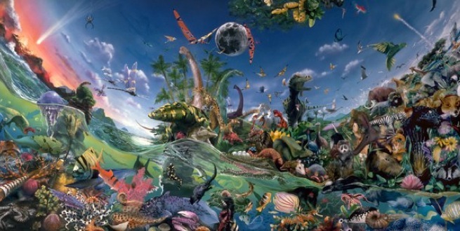 “寒武纪大爆发”奠定生物门类发展基础