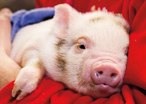 ר�ҳ����е���֪��������