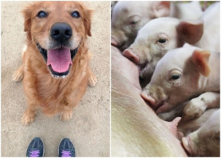 ר�ҳ��������ȹ���������