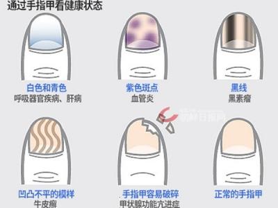 美国探索频道列举出全球6大最著名的隐生动物