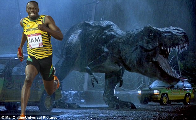 博尔特的速度能够超越霸王龙:科学家指出,计算机模拟数据显示,霸王龙最高奔跑速度大约29公里/小时,显然这一速度并不能追赶汽车,但能追赶到多数人。相比之下,牙买加