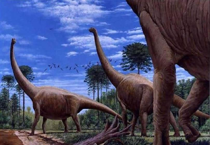 阿根廷龙体长大于蓝鲸:最大的恐龙物种一直倍受争议,近期一项研究才揭晓其中的谜团,生活在9700万-9400万年前的阿根廷龙体长40米,高度7.3米,体重70吨,