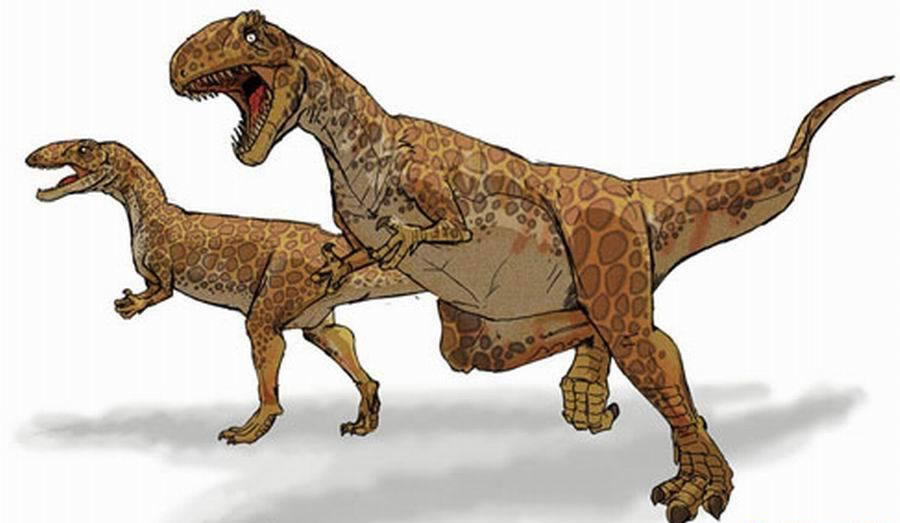 最早的恐龙骨骼化石发现于1677年:最早发现的恐龙骨骼化石是斑龙,是1677年在英国牛津郡采石场挖掘的。