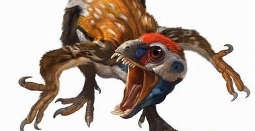 “恐龙后代”仍存活着:19世纪考古学家发现长有羽毛的始祖鸟,从此开始了恐龙进化成为鸟类的学术研究。科学家普遍认为,早期鸟类是从侏罗纪晚期食肉兽脚亚目恐龙进化而来