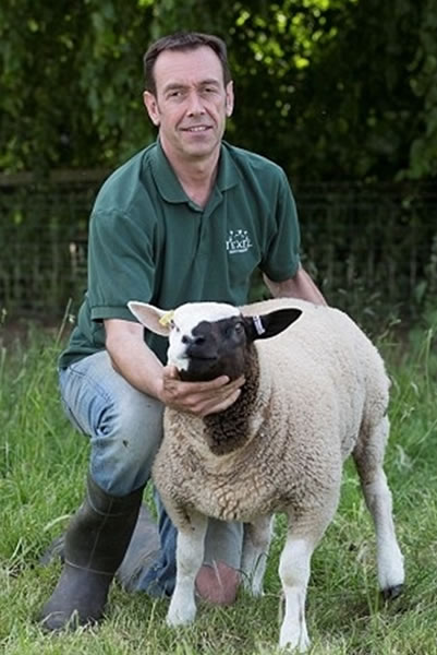 �������š���Ӱ���������Ի���Ӱ�죬�����������档