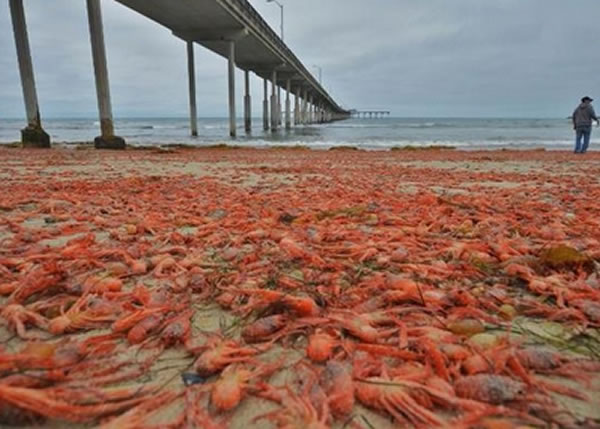 ������з��ǳ�ں�̲��