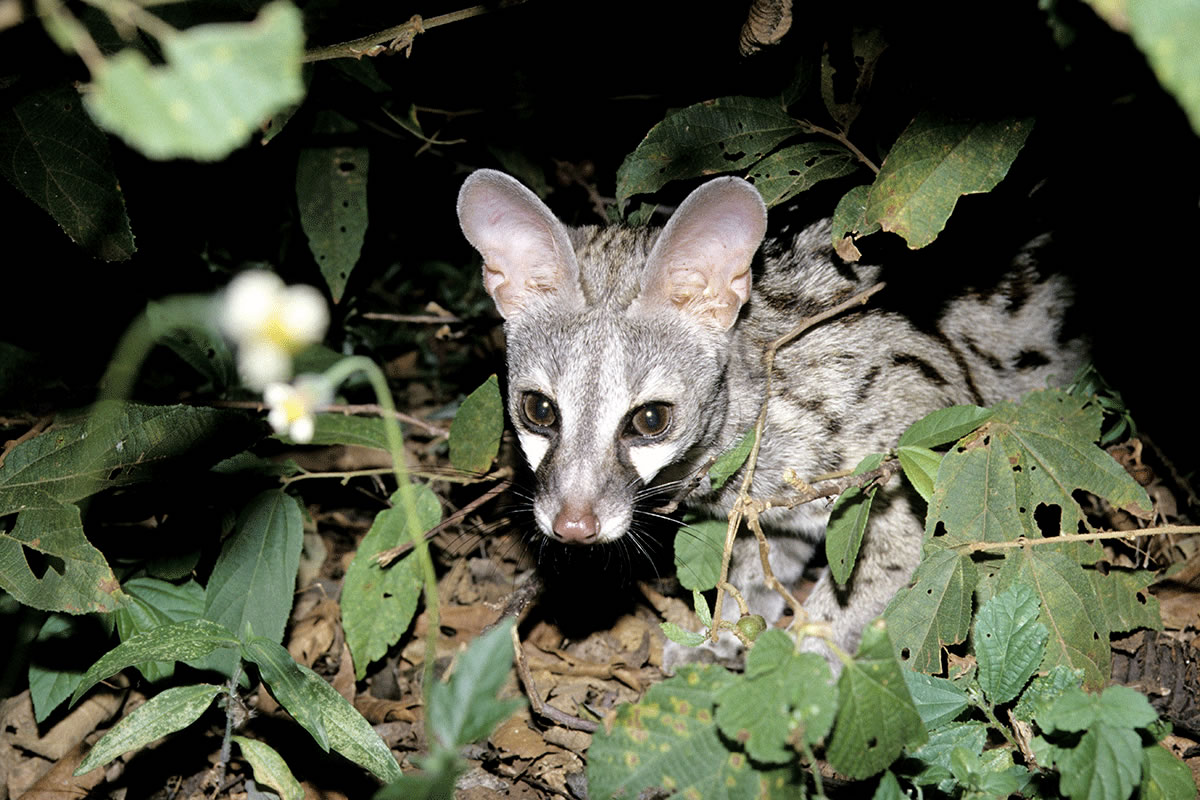 ��è��è��ϲ��ʱ��ʱ��������ۺ���һ������ȥ