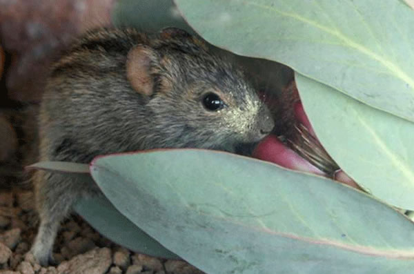 ��è��è��ϲ��ʱ��ʱ��������ۺ���һ������ȥ