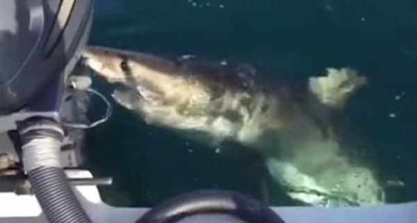 ����������������������20����