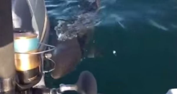 ����軺�����ڴ���������ȥ