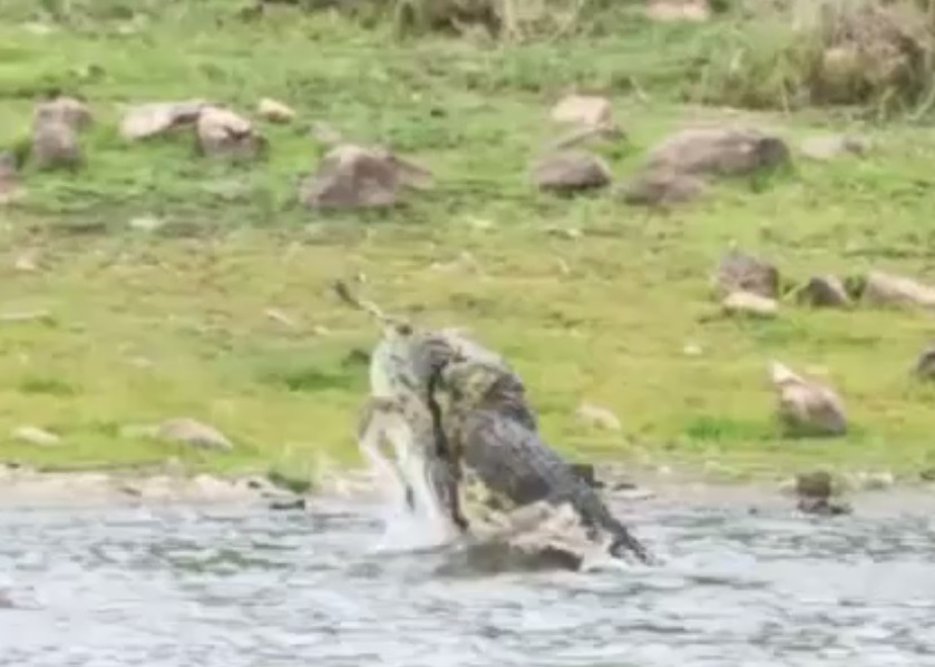 ��������С������֮ˤ��ˤȥ��