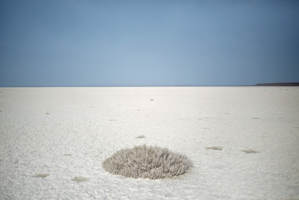 ڹ˹͹ڣԭ̺ƬѾΪһƬ̣Һֲ޻ʹõ΢ѧ Photographs by Carolyn Drake