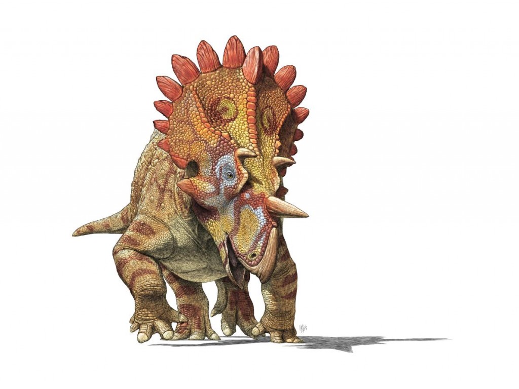 彼得休斯角龙(Regaliceratops peterhewsi)眼睛上方短而粗的角(如这张画家的想像图所示),让它的发现者想到「地狱怪客」这个漫画角色。 Ar