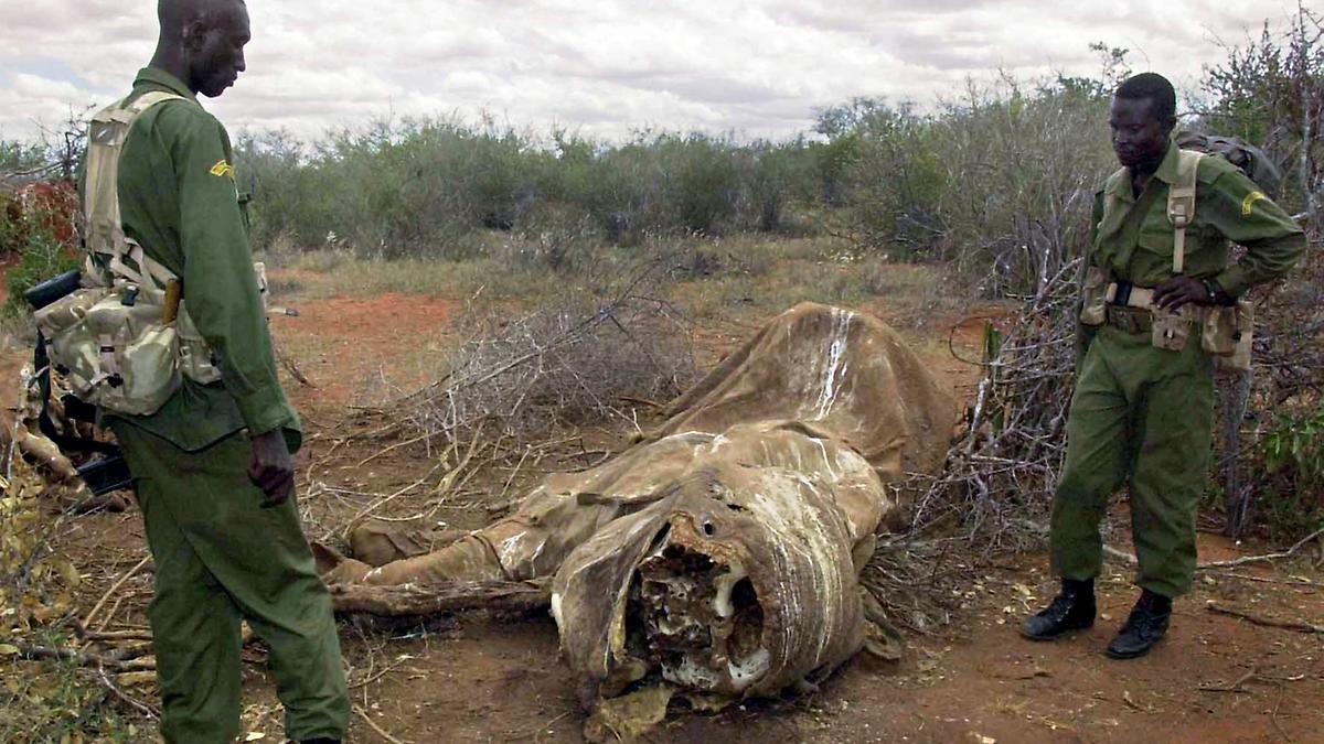 ������Ա������漰�Ƿ�����Ұ������ó�׵Ĺ��ҵĶ�������