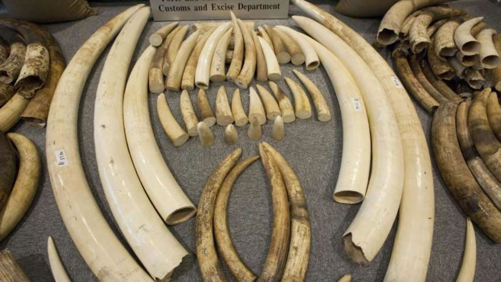 ������Ա������漰�Ƿ�����Ұ������ó�׵Ĺ��ҵĶ�������