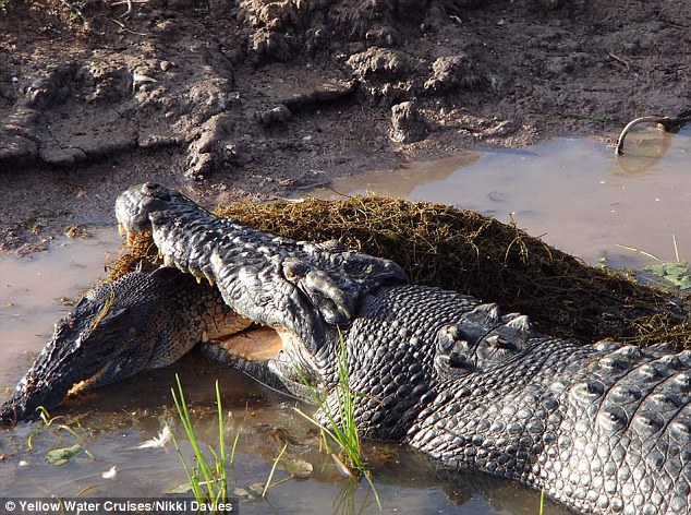 ���޿����Ź��ҹ�԰С�����󴳵��̲������ҧ��