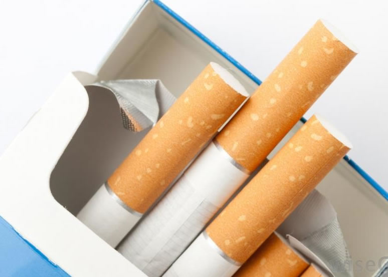 �о�Ԥ�⣬���������ĸ�����δ����ʮ�����Ի�������