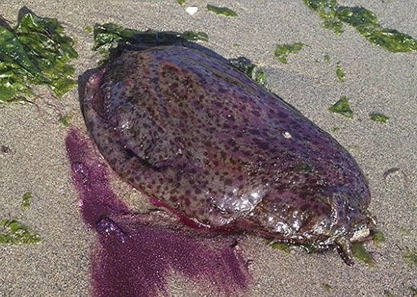 ���ݺ�̲�����д��������������ϰ�