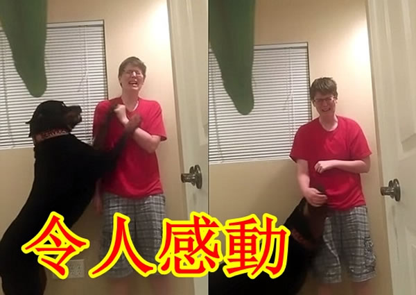 �Ÿ���˹�߿ޱ��Ĵ��Լ����䰮Ȯ��һ˫ǰ֫��ֹ����