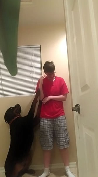 ��ķɭ��ֹ����������ͷ