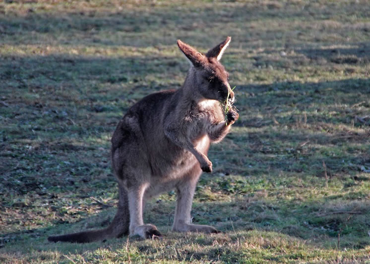 �о����֣����������ִ����ճ�����