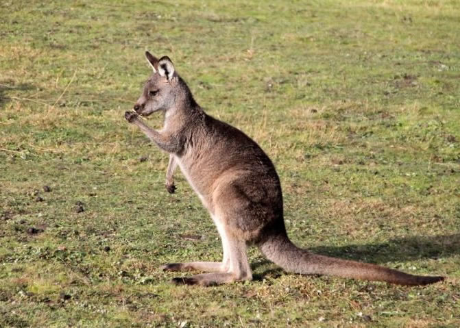 ��������Ƿȱ���������Ե�����