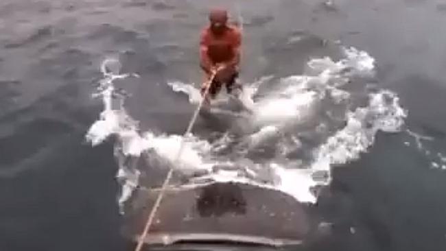 Ӣ����������Marine Connectionǿ��Ǵ���οͰѱ�Σ���赱�ɳ��˰��