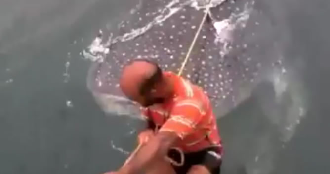 Ӣ����������Marine Connectionǿ��Ǵ���οͰѱ�Σ���赱�ɳ��˰��