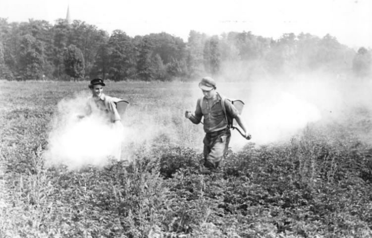 敌敌畏在上世纪60年代被广泛使用