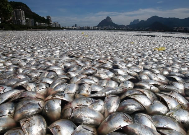 发生于泥盆纪后期的生物灭绝过程,几乎令所有鱼群灭绝。