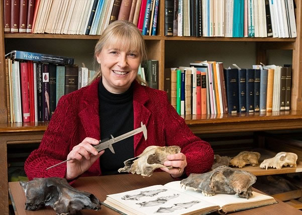 科学家称今次的狗尸保存得非常完好